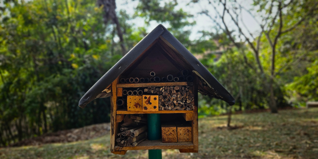 Gestión de la Biodiversidad