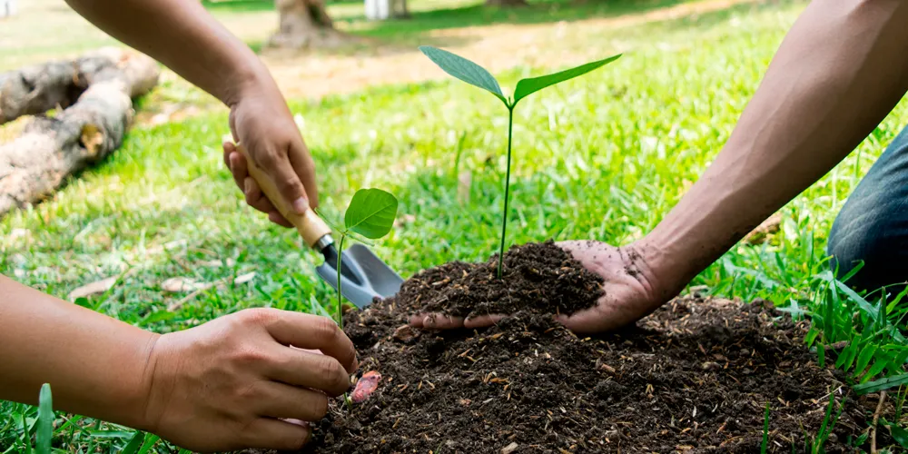 Diplomado en Educación y gestión ambiental