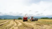 fortalecer las economías propias fortalecer las economías propias